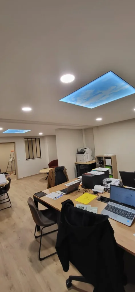 réalisations plafonds tendus